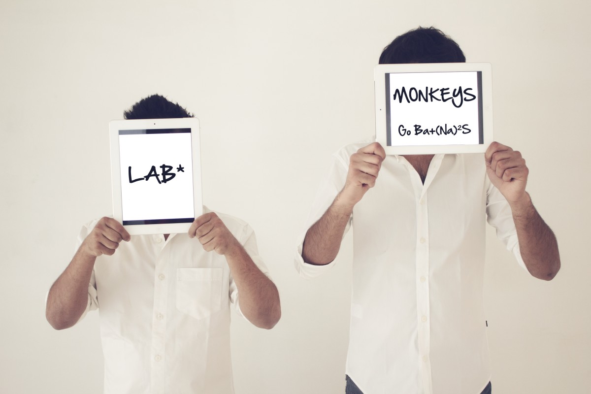 Lab Monkeys